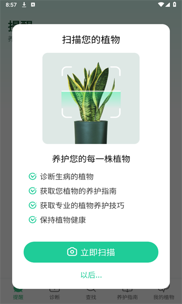plant parent中文版