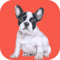 狗狗助手专业版app1.0.8 安卓版