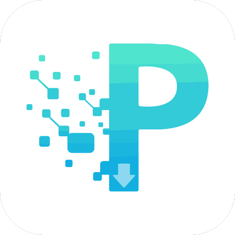 p2p手机下载器1.2.9 最新版