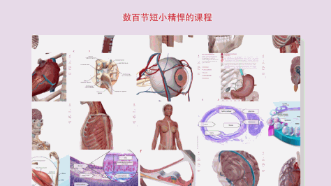 解剖和生理学app(anatomy physiology)截图