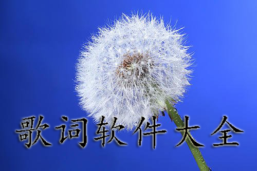 歌词app大全-2024歌词app-安卓软件排行榜