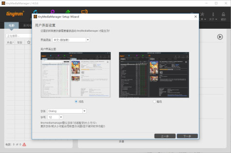 tinyMediaManager（电影剧集元数据刮削器）官方版4.2.8电脑版截图1