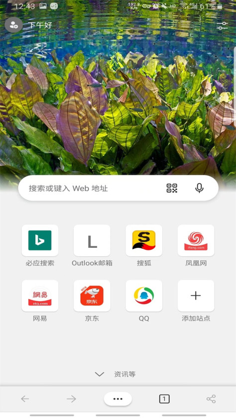 edge beta安卓128.0.2739.18最新版截图3