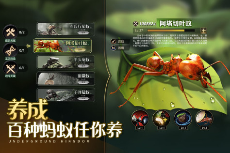 小小蚁国最新版中文版1.86.0安卓版截图4