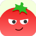番茄相册大师app最新版v1.0.0.0 安卓版