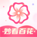 妙看百花app安卓版v1.0.0 官方版