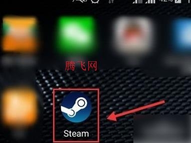 steam手机版