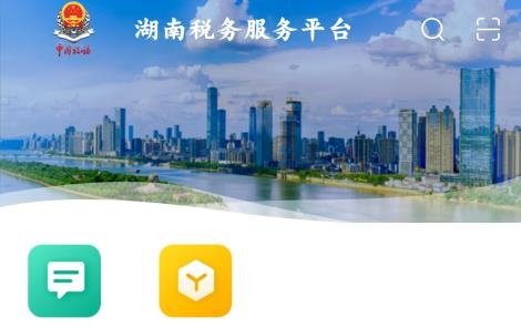 湖南税务服务平台官方版