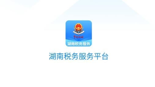 湖南税务服务平台官方版