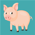 小猪电视app最新版v6.2.0 免费版