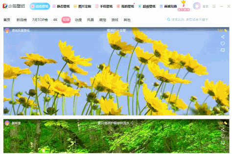 360小鸟壁纸软件 v3.1123.2125.906 官方版 2
