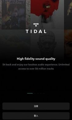 TIDAL音乐重复 v2.118.0 最新版 0