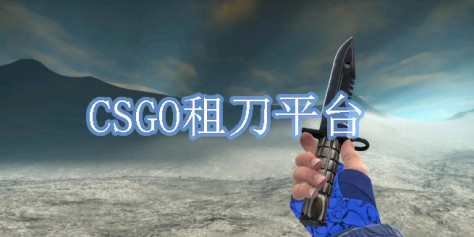 CSGO租刀平台有哪些-CSGO租刀的平台app大全