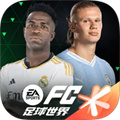 fifa足球世界手游九游