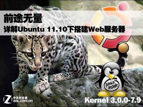 Ubuntu 11.0下配置Web服务器详细教程_绿色资源网