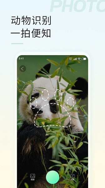 智能拍照识物 v1.2.2 安卓版 3