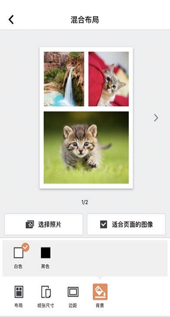 selphy photo layout证件照 v2.1.0 安卓版 2