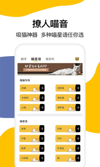 猫语翻译app下载