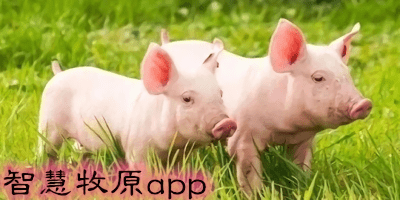 智慧牧原app大全-2023新版智慧牧原app-智慧牧原app下载安装