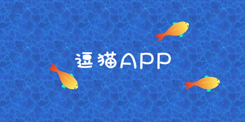 逗猫app