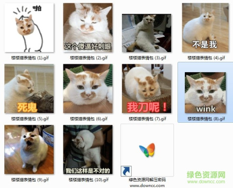 楼楼猫gif动态图表情包