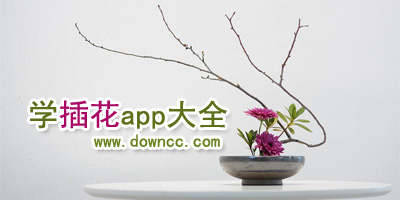 插花app哪个好?花艺app有哪些?学插花app-学习花艺的app