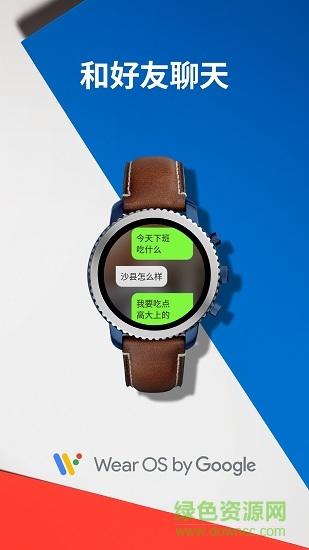 wear os by google国际版 v2.0.0.206507024 安卓版 1