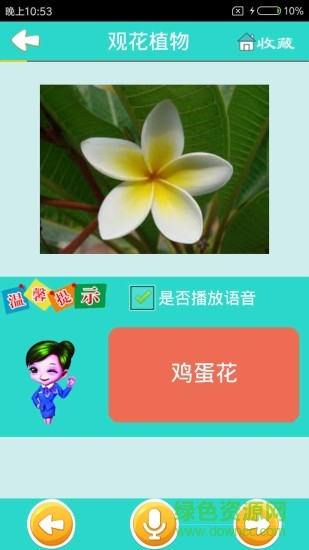 看图识花软件 v3.9  安卓版 0