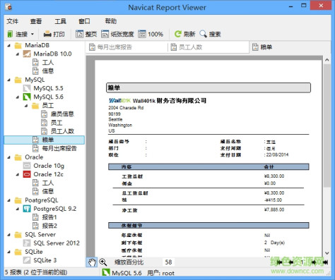 navicat report viewer v3.2 中文免费试用版 0