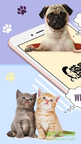 猫狗语翻译器(AndroidAnimationDemo) v24 安卓版 3