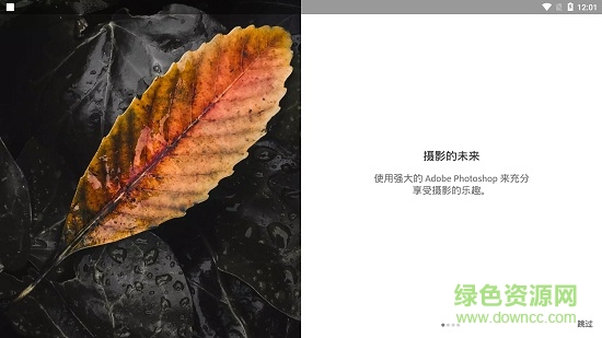 lightroom手机中文版app v9.3.0 官方最新版 0