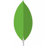 nosql manager for mongodb