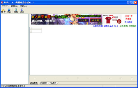 华华ACCESS数据库查看器