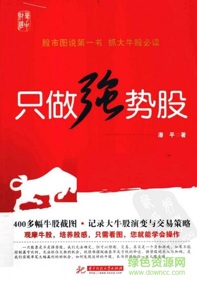 只做强势股升级版pdf