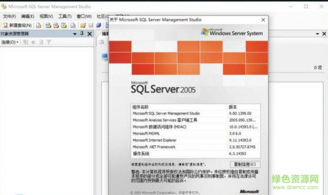 sql2005开发版