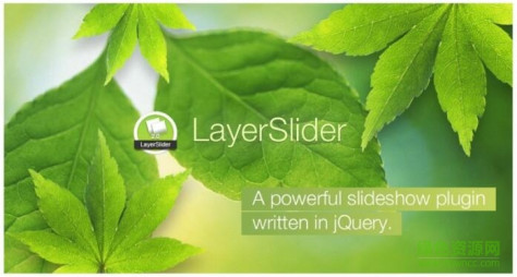 layerslider wp 汉化版(视差幻灯片插件) v6.5.1 中文 0