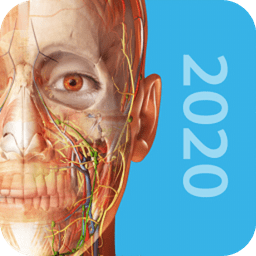 2020人体解剖学图谱app正式版