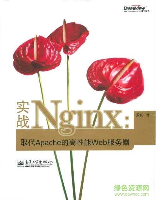 实战nginx pdf  0