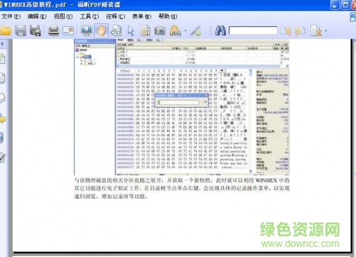 WINHEX高级教程 pdf格式 0