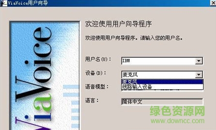 ibm viavoice中文语音输入系统软件 v9.1for win7免安装版 0