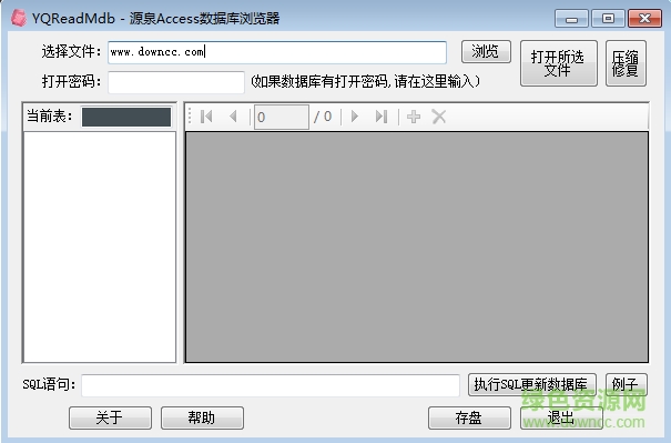 源泉Access数据浏览器 v1.3 绿色版 0