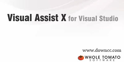 visual assist x安装-visual assist x中文版下载-visual assist x汉化版