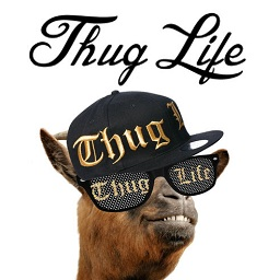 黑墨镜金链子叼烟p图软件(Thug life photo sticker maker)
