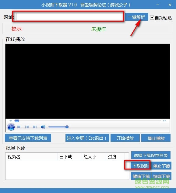 小视频下载器 v1.0  绿色版 0