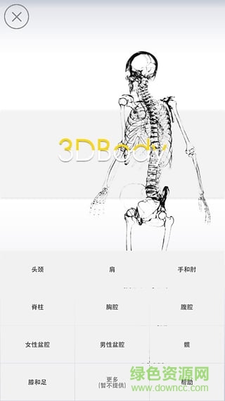 3dbody解剖软件电脑修改版 v8.0 pc中文版 0