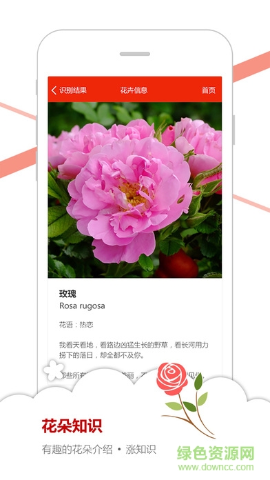 微软识花(花草识别器)ios版 v1.0 iPhone版 2