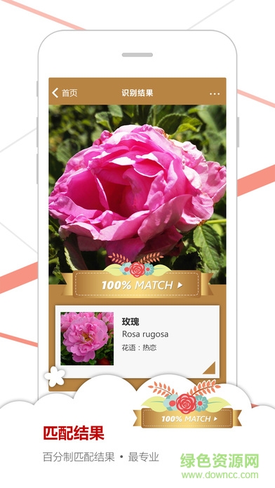 微软识花(花草识别器)ios版 v1.0 iPhone版 1