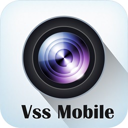 vss mobile电脑版