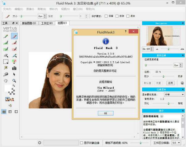 fluid mask 3中文版