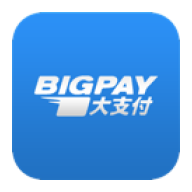 大支付(BigPay)